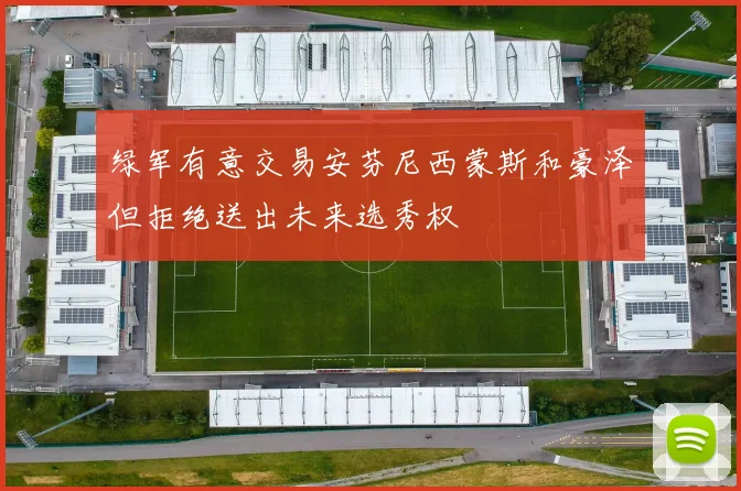绿军有意交易安芬尼西蒙斯和豪泽但拒绝送出未来选秀权