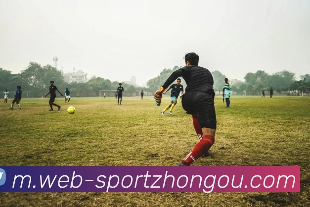 中欧体育平台生态图